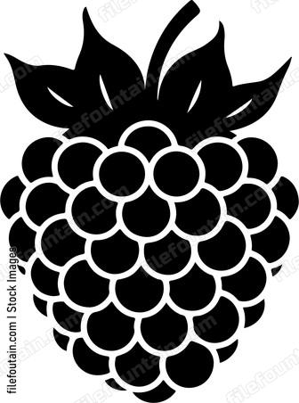 Blackberry Fruit