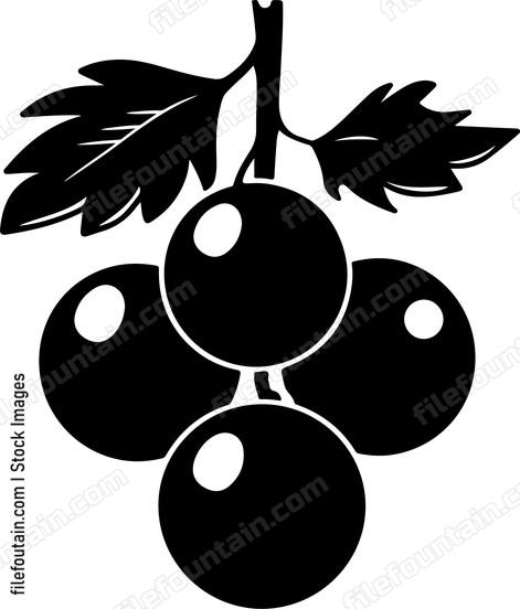 Blackcurrant