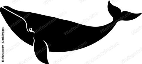 Blue Whale
