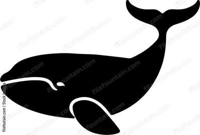 Blue Whale