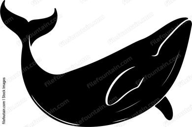 Blue Whale