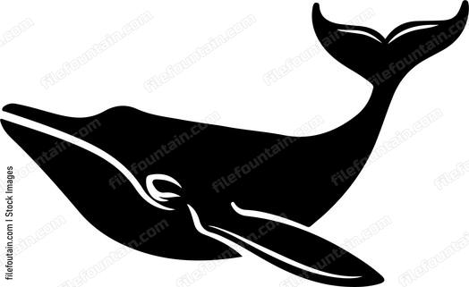 Blue Whale