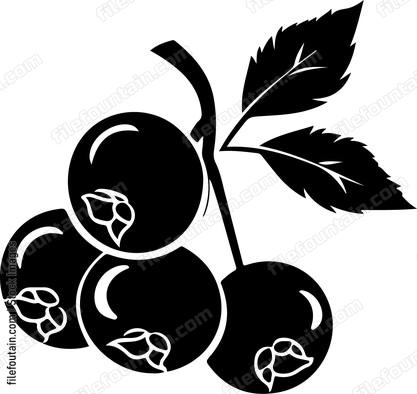 Blueberries