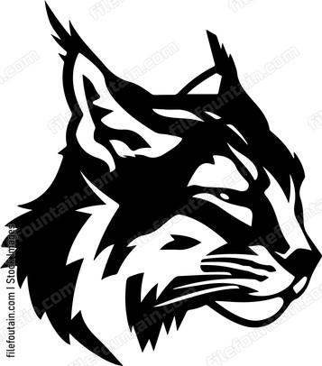 Bobcat