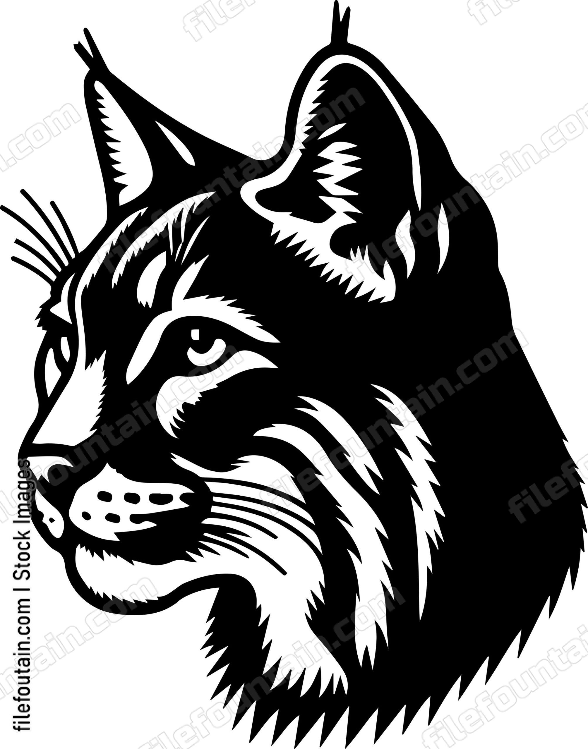 Bobcat