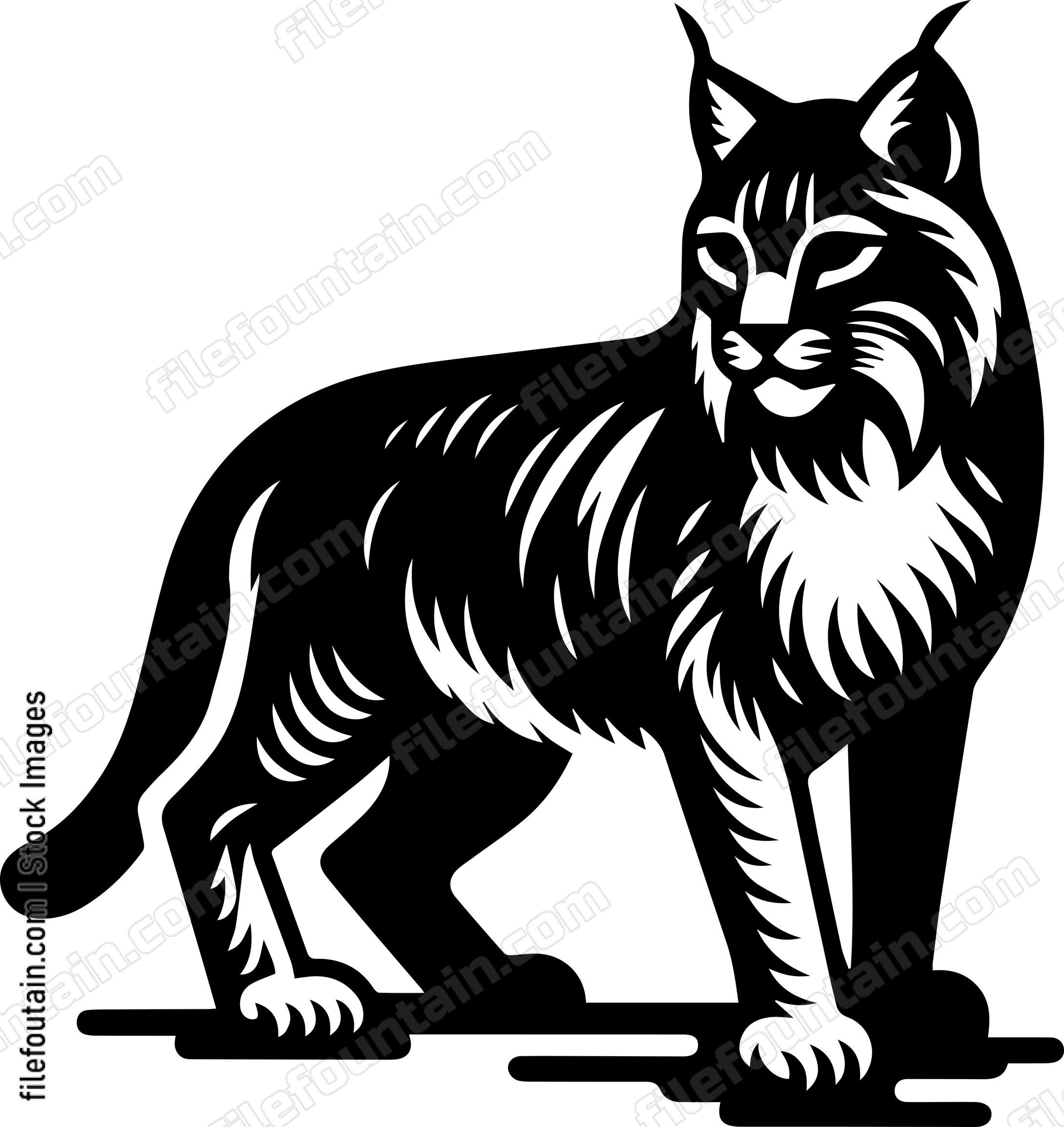 Bobcat