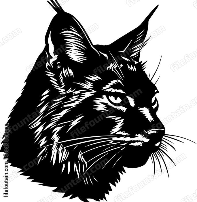 Bobcat