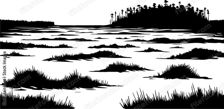 Bog Landscape