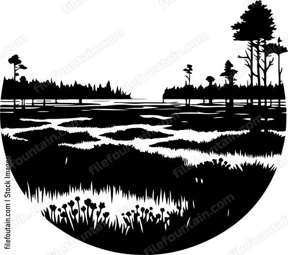 Bog Landscape