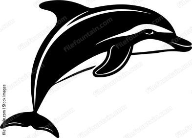 Bottle Nose Dolphin