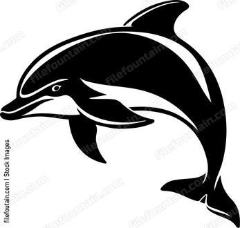 Bottle Nose Dolphin