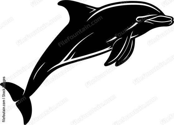 Bottle Nose Dolphin