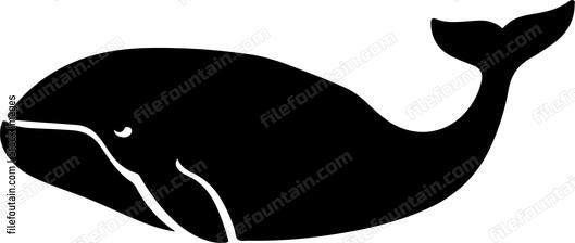 Bowhead Whale