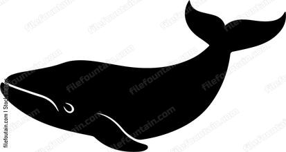 Bowhead Whale