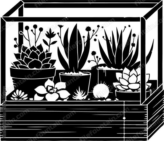 Box of miniature succulents and terrarium plants