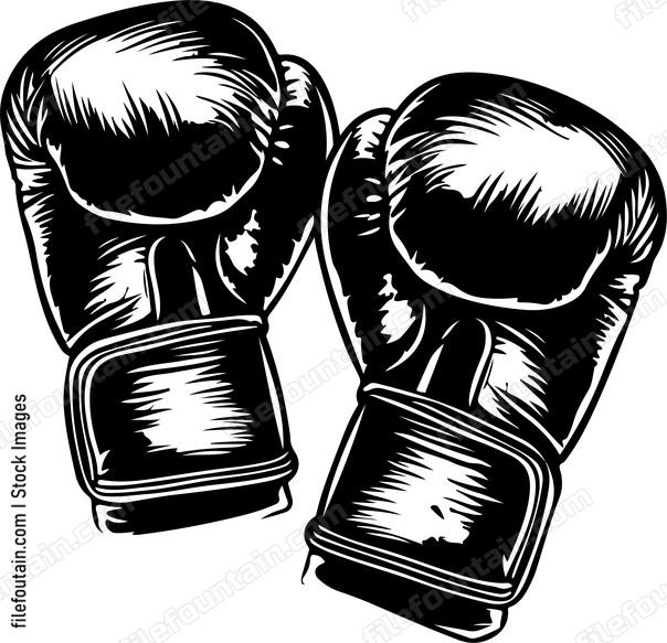 Boxing Gloves Set