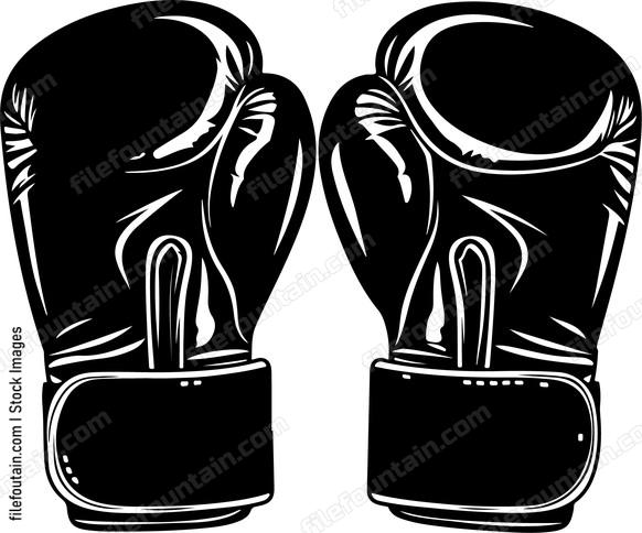 Boxing Gloves Set