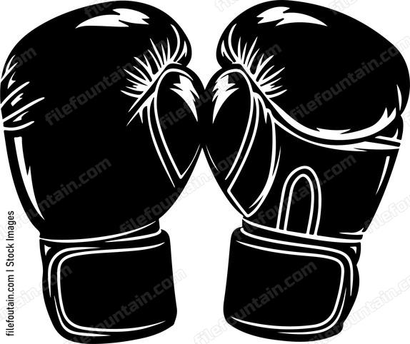 Boxing Gloves Set