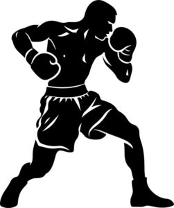 Boxing Style