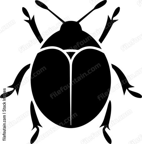 Bug