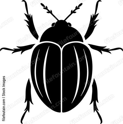 Bug