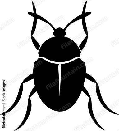 Bug