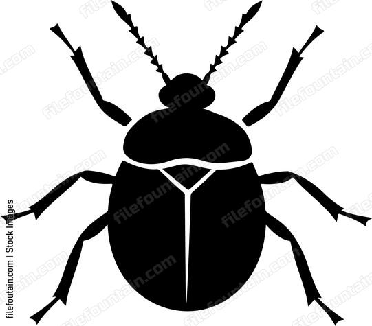 Bug