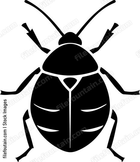 Bug