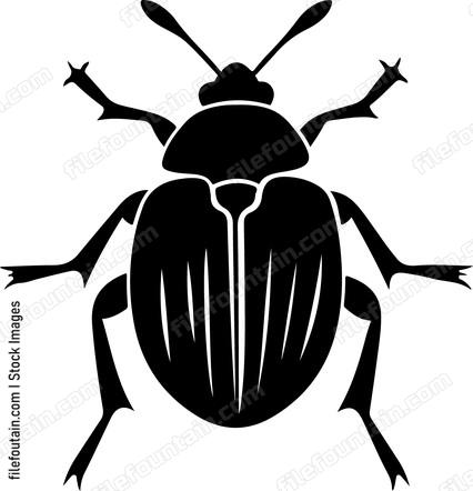 Bug