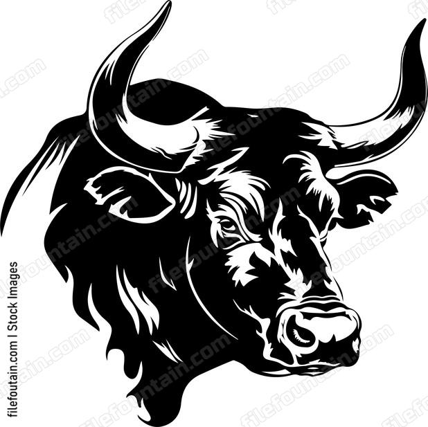 Bull head in profile