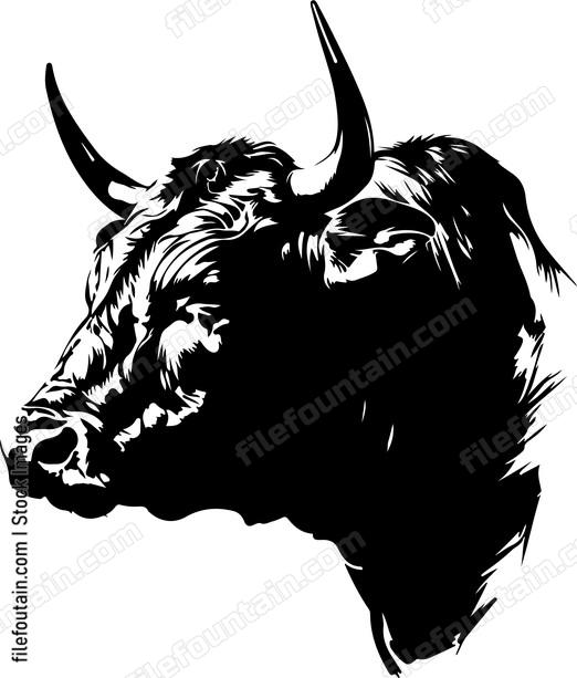 Bull head in profile