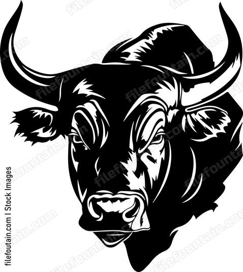 Bull head in profile