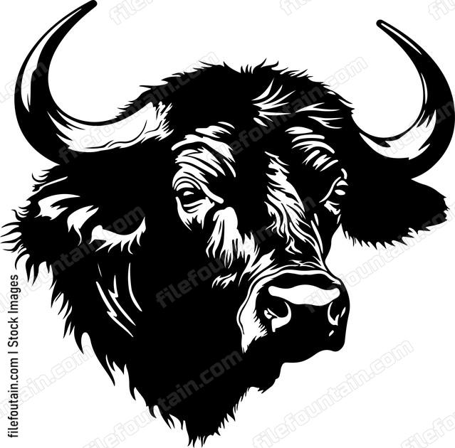 Bull head in silhouette