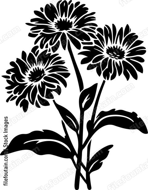 Calendula Flowers