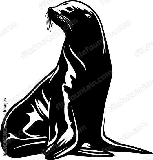 California Sea Lion