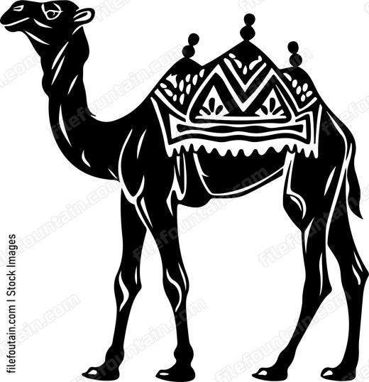 Camel Tropical