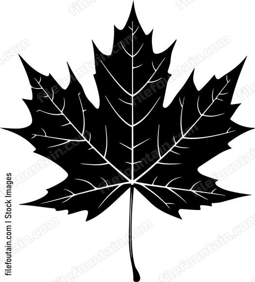 Canada Maple Leaf