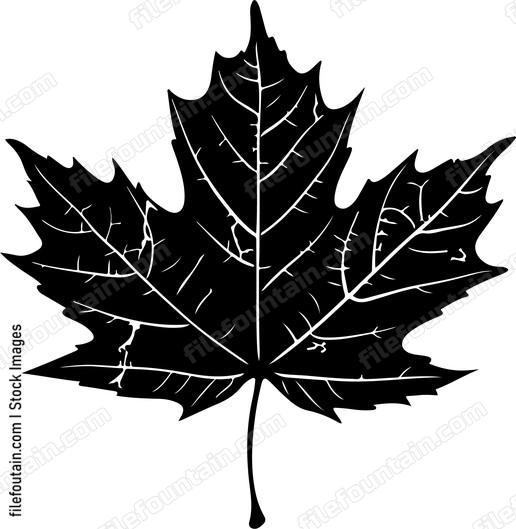 Canada Maple Leaf
