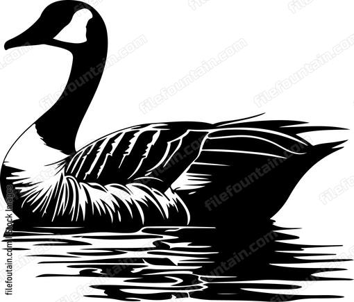 Canadian Goose