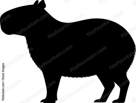 Capybara