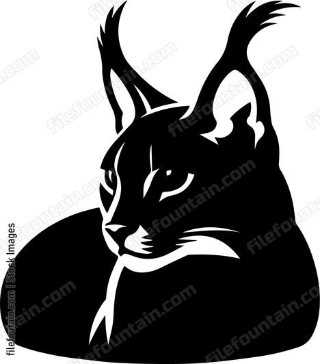 Caracal