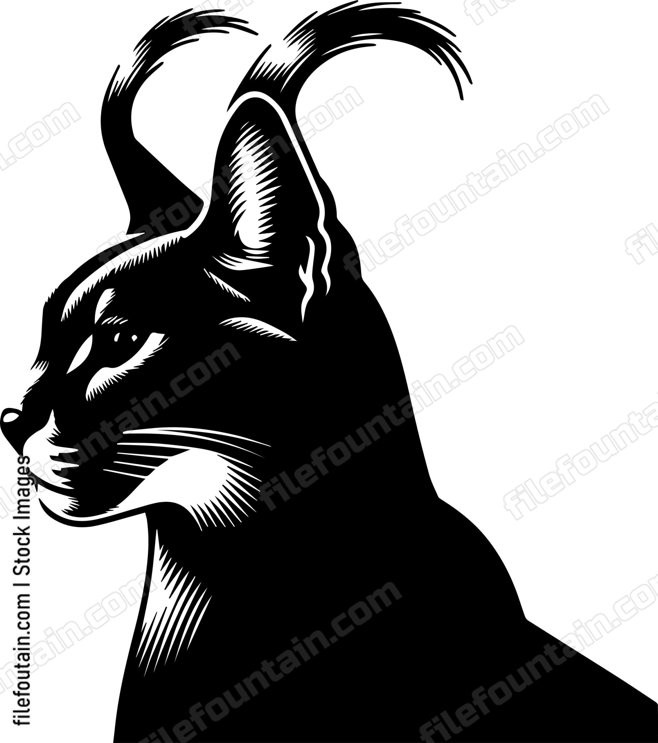 Caracal