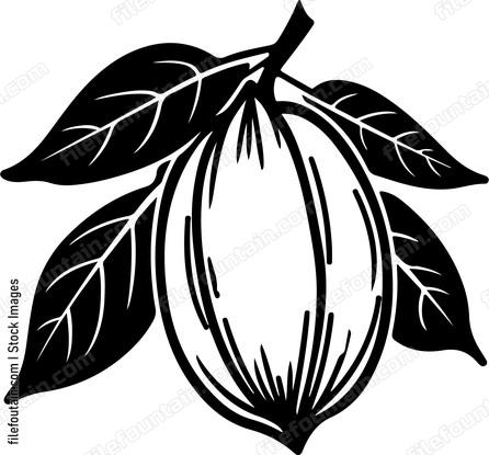 Carambola Star Fruit