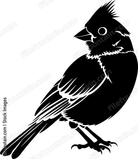 Cardinal