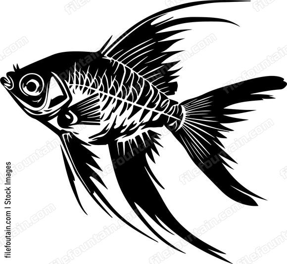 Cardinalfish