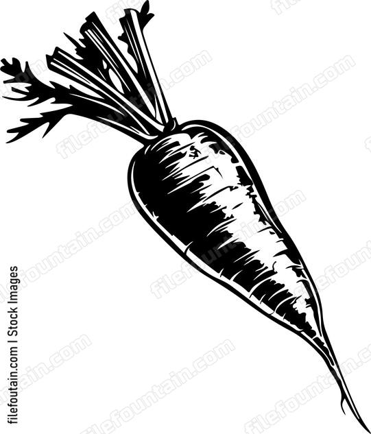 Carrot
