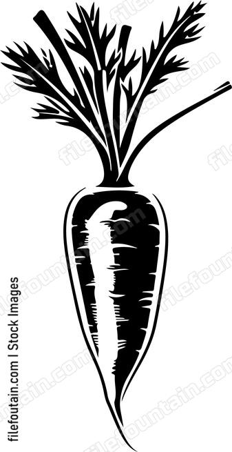 Carrot