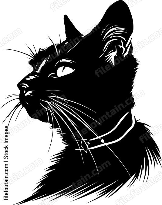 Cat Collar