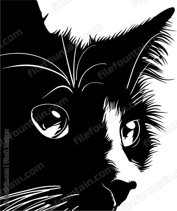 Cat Eyes