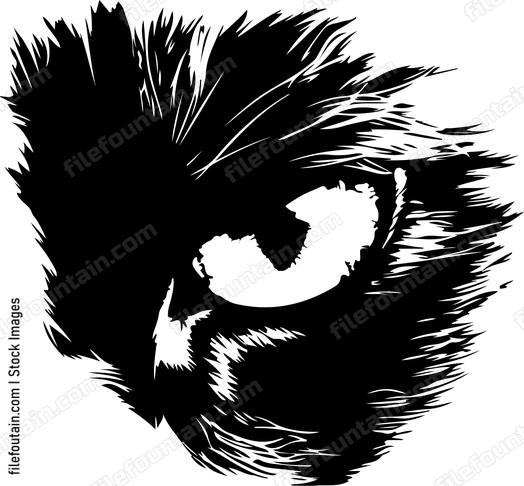 Cat Eyes